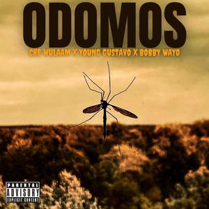 ODOMOS (Explicit)