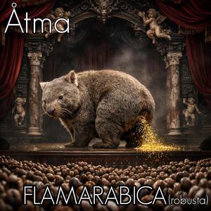 Flamarabica (robusta)