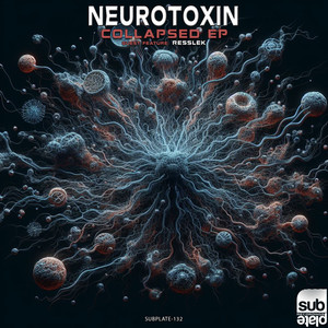 RAUP (Original Mix)