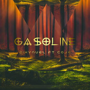 Gasoline