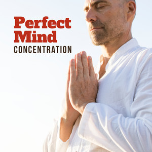 Yoga New Age Music: Perfect Mind Concentration