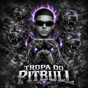 TROPA DO PITBULL (Explicit)