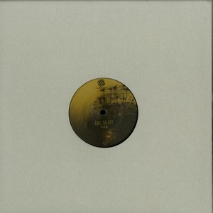12 (Original Mix)