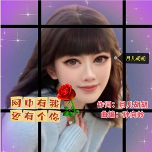 网中有我还有个你 (林乐版)