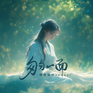 匆匆一面 (伴奏)