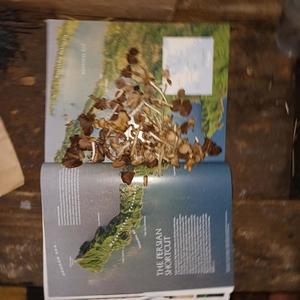 Dear lil wayne (Explicit)