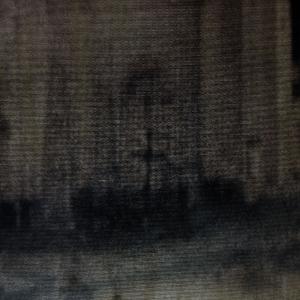 Lost dreaming on a railing