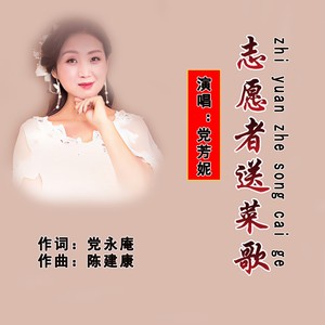 志愿者送菜歌 (伴奏)