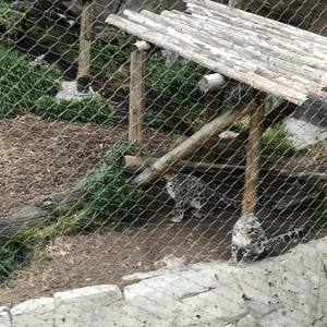 Brand New (Explicit)