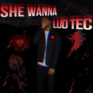 She Wanna (Explicit)