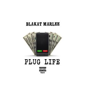 Plug Life (Explicit)