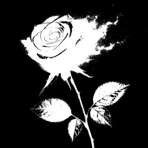 Afraid 2 Lose (Explicit)