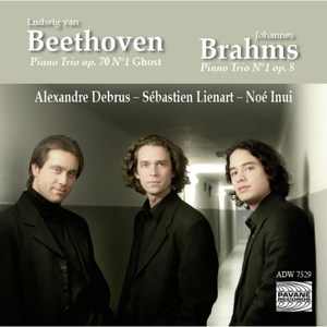 Trio pour piano & cordes No. 1 in B Major, Op. 8 - Trio pour piano & cordes No. 1 in B Major, Op. 8: II. Scherzo (Allegro molto)