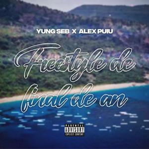 Freestyle De Final De An (feat. Alex Puiu) [Explicit]