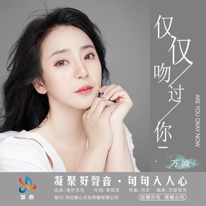 仅仅吻过你