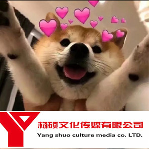 Hoaprox-洪荒之力 (越南鼓)