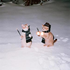 Still Haven't Died (feat. Corvid)