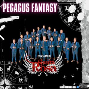 Pegasus Fantasy