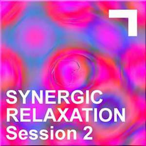 Synergic Relaxation – Session 2