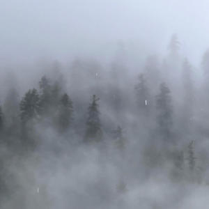 PARVATI PARVAT (feat. RANA JI & J-PUNK)