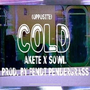 Cold (Opposite) (feat. SOWL) [Explicit]