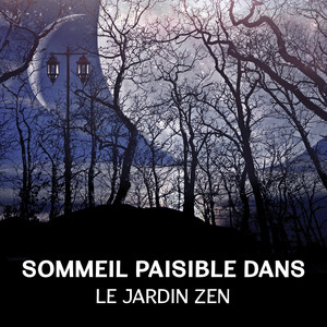 Sommeil paisible dans le jardin zen – Relaxation profonde, Harmonie et énergie intérieure, Musique pour le bien-être, Sons naturels pour les rêves lucides