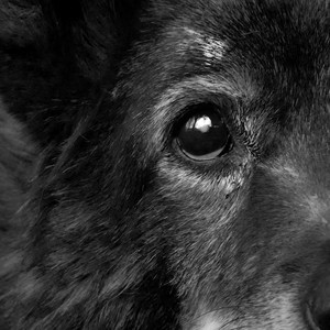 Кобура (Explicit)