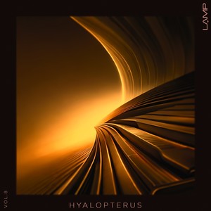 Remember Vertico (Original Mix)