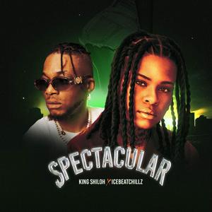 Spectacular (feat. Icebeatchillz)