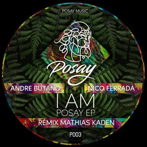 I Am (Mathias Kaden NYC Beats Remix)