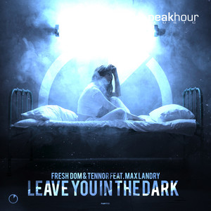 Leave You In The Dark(feat. Max Landry) (Radio Edit)