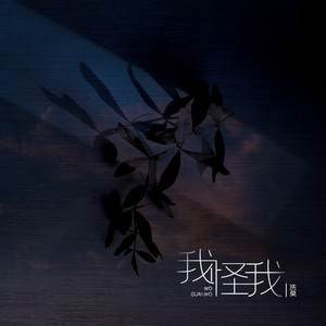 我怪我