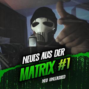 Neues aus der Matrix #1 (feat. zRy)