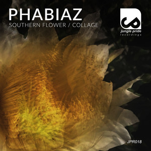Collage (Original Mix)