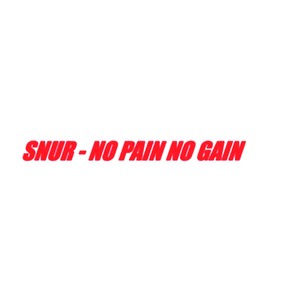 No Pain No Gain (Explicit)