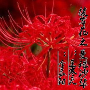 彼岸花之曼珠沙华 Qq音乐 千万正版音乐海量无损曲库新歌热歌天天畅听的高品质音乐平台