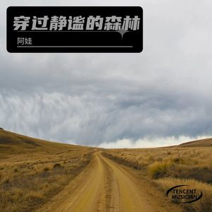 穿过静谧的森林