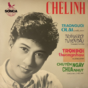 Trọn Đời Thương Nhau