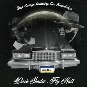 Dark Shades, Fly Hats (feat. Cee Knowledge) [Explicit]