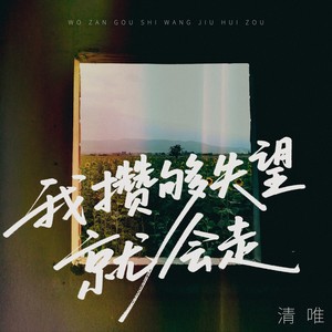 我攒够失望就会走