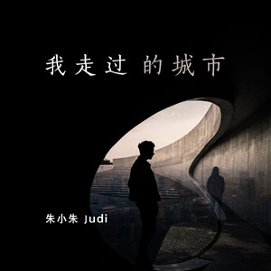 我走过的城市