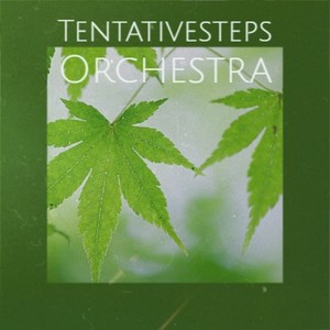 Tentativesteps Orchestra