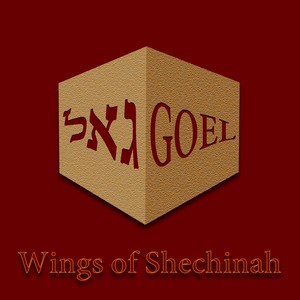 Wings of Shechinah