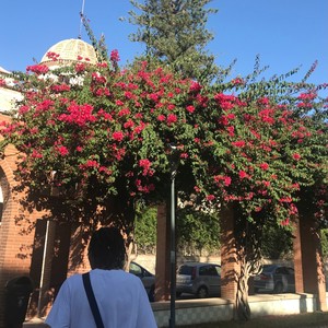 Don't Want It (Explicit)