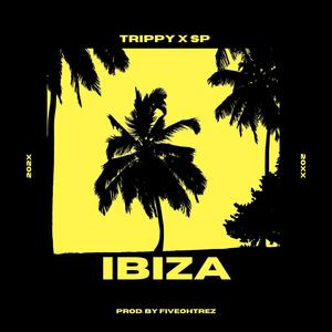 Ibiza (feat. Steven Padilla) [Explicit]