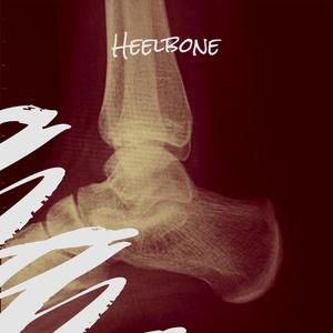 Heelbone