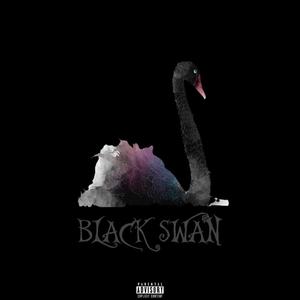 SWAN INTRO (Explicit)