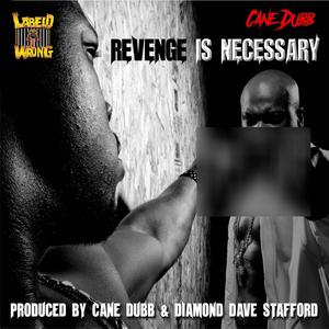 Revenge Is Necessary (Explicit)