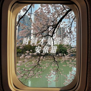 帕萨特权威