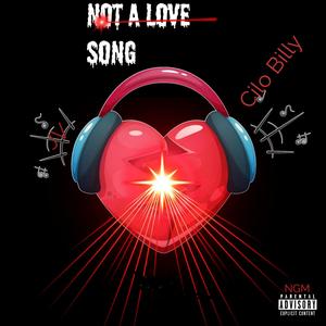 NOT A LOVE SONG (Explicit)